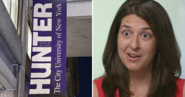 Hunter College professor Allyson Friedman placed on leave for racist hot mic comments