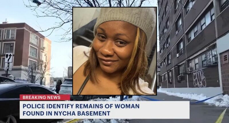 'I can't understand why she was there': Mom of 4 found dismembered in trash compactor room after a night out with friends, police say