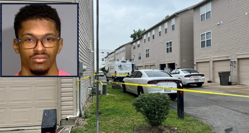 'I did something bad': Husband who shot wife in head then slit her throat 5 weeks after they welcomed first baby is sentenced