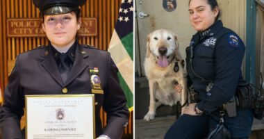 'I think he would be proud'