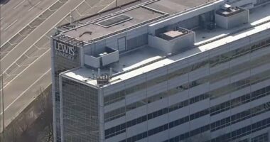 ICE Chicago news: Lewis University learns ICE agents could work in same Oak Brook, IL building, moves classes to online learning