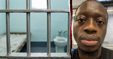 ICE arrests illegal immigrant training as Pennsylvania corrections officer suspected of rape