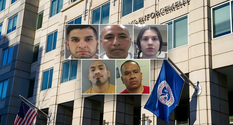 ICE arrests illegal immigrants convicted of child rape, sexual assault, drug trafficking
