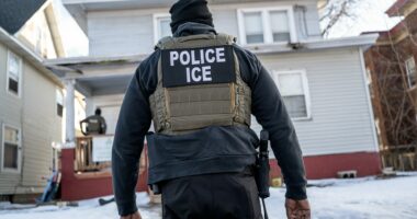 ICE arrests over 650 illegal aliens across West Virginia with state, local police backing
