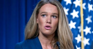 ICE mouthpiece Tricia McLaughlin leaving Trump administration