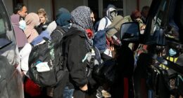 ISIS brides DO have Australian passports: Tony Burke makes admission