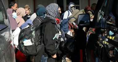 ISIS brides DO have Australian passports: Tony Burke makes admission