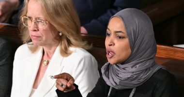 Ilhan Omar claims her guest was 'forcibly removed' from House floor