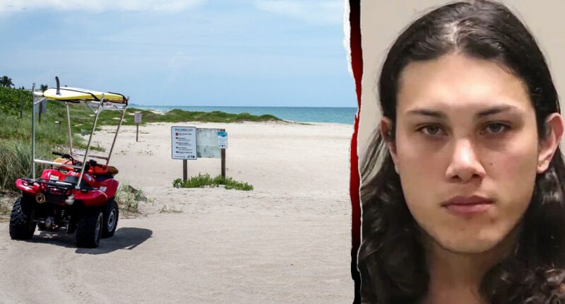 Illegal immigrant allegedly ambushed woman on Florida beach in random attempted drowning attack: police