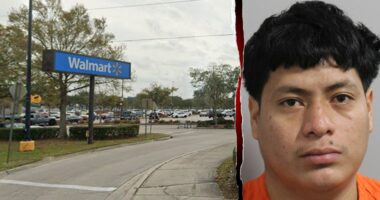 Illegal immigrant allegedly flees after drunk hit-and-run injures motorcyclist: report