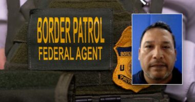 Illegal immigrant arrested after showing up to Florida Border Patrol office for contract IT work
