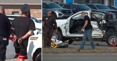 Illegal immigrant truck driver accused of killing Indiana man after running red light