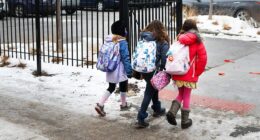 Illinois district where faculty celebrated Charlie Kirk's death exposed over racial 'segregation' plan