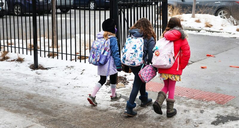 Illinois district where faculty celebrated Charlie Kirk's death exposed over racial 'segregation' plan