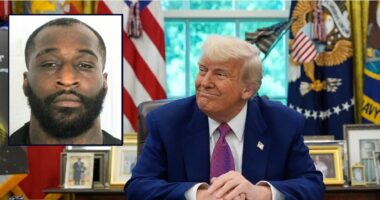 'I'm gonna watch him die': TikToker who vowed to kill Trump with a 'bullet inside his forehead' learns his fate