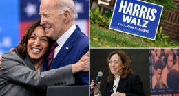 Indebted DNC bought Kamala Harris donor list for $6.5M more than a year after the 2024 election