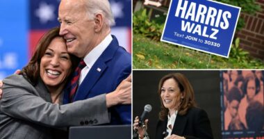 Indebted DNC bought Kamala Harris donor list for $6.5M more than a year after the 2024 election