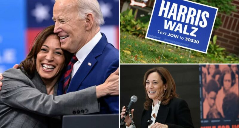 Indebted DNC bought Kamala Harris donor list for $6.5M more than a year after the 2024 election