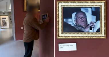 Infamous photo of ex-Prince Andrew after his arrest hung in the Louvre by activists, stuns visitors