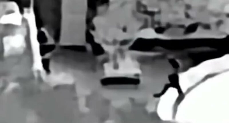 Infrared video shows FBI at Nancy Guthrie's home for THIRD time