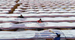 Inside China’s push to feed 1.4 billion people without U.S. crops