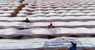 Inside China’s push to feed 1.4 billion people without U.S. crops