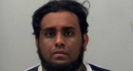 Inside the kennel from hell where 41 animals were found dead