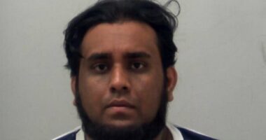 Inside the kennel from hell where 41 animals were found dead