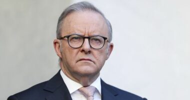 Prime Minister Anthony Albanese during a press conference at Parliament House in Canberra on Tuesday 13 January 2026. fedpol Photo: Alex Ellinghausen