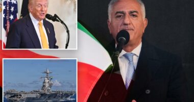 Iran's Reza Pahlavi calls for Trump intervention to toss regime