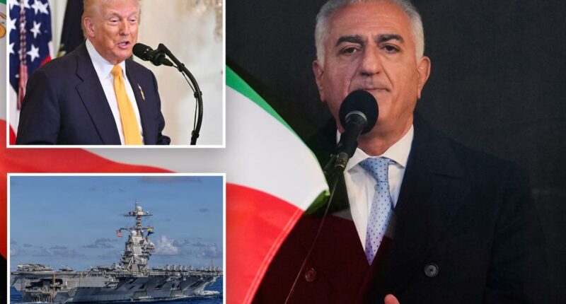 Iran's Reza Pahlavi calls for Trump intervention to toss regime