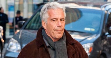 Israeli intelligence sources reject claims Jeffrey Epstein was Mossad operative following document releases