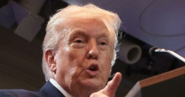 JPMorgan admits it shuttered Trump's accounts following Jan. 6 Capitol riot