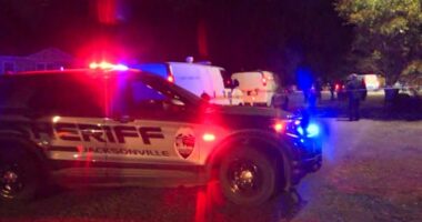 JSO officers shoot, kill man during foot chase in Oceanway after spotting him in 'known' stolen vehicle