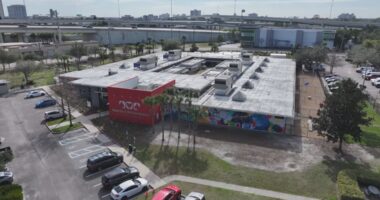 Jacksonville ACPS revamps website to help reunite lost pets and owners