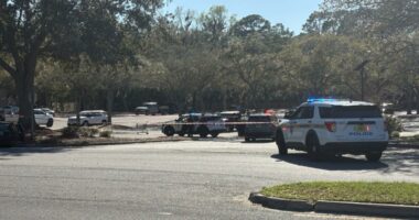 Jacksonville police investigating after two people shot near Mandarin Lowe's
