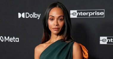 James Van Der Beek's family to get major donation from Zoe Saldana