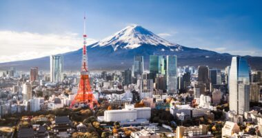Japanese stocks have been hitting record highs. But the rally may be 'fragile'