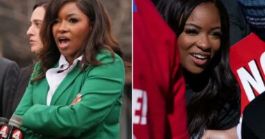 Jasmine Crockett ridiculed for having armed guards boot 'white girl' reporter from event: 'Not ready for primetime'Â 