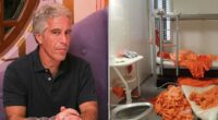 Jeffrey Epstein's death statement dated a day before he killed himself