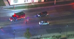 Jesus Guzman charged with DUI, reckless homicide after Boris Nudelman fatally hit on Dempster Street: Morton Grove police