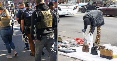 Judges free 3 West African migrants, slam ICE over 'unlawful' NYC raids