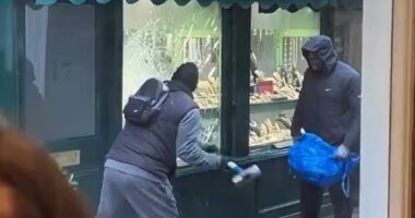 Just another day in lawless London! Inside the capital's crimewave