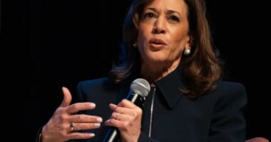 Kamala Harris refuses to rule out another White House run: âI havenât decidedâÂ 