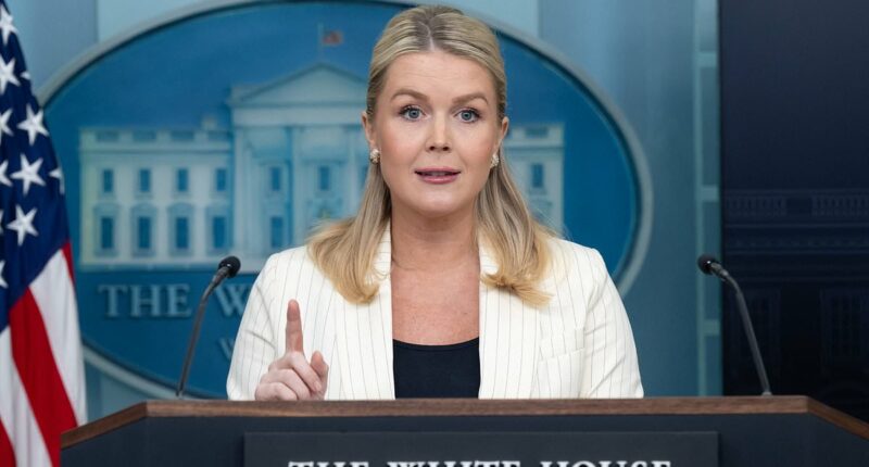 Karoline Leavitt confirms president told brazen lie about Trump Station name change