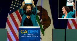 Katie Porter's anti-Trump speech at Democratic Convention