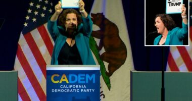 Katie Porter's anti-Trump speech at Democratic Convention