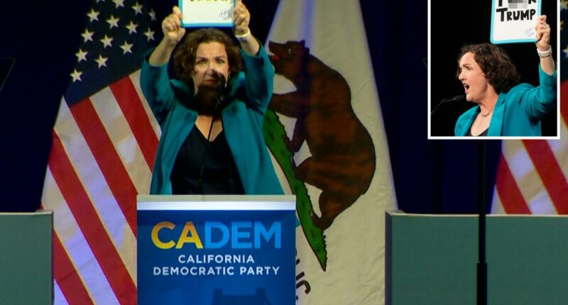 Katie Porter's anti-Trump speech at Democratic Convention