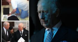 King Charles vows 'full and wholehearted support' to the investigation into disgraced brother Andrew