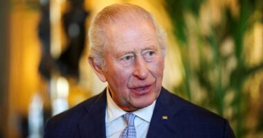 King expresses his 'profound concern' over allegations about Andrew